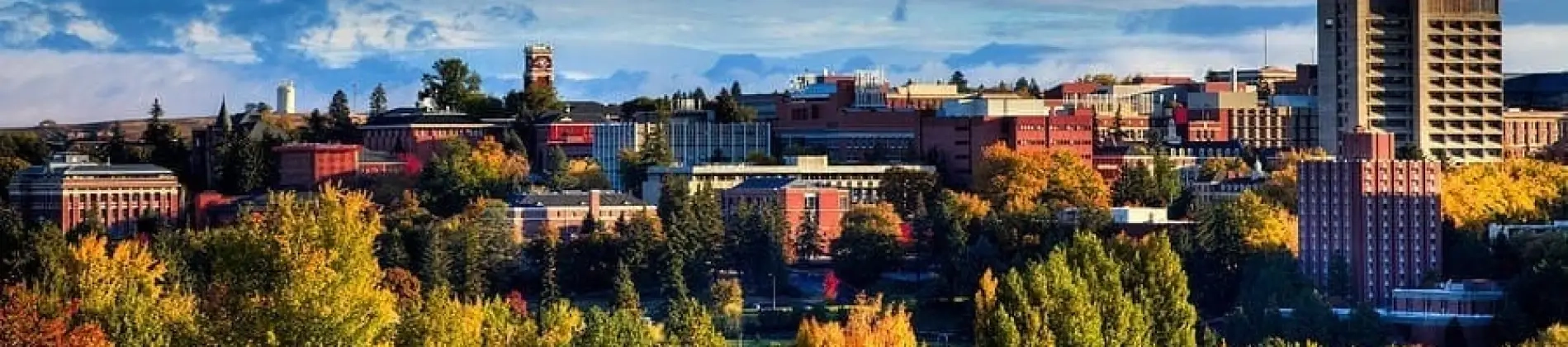 Doctor of Philosophy in Business Administration -Operations and Management Science